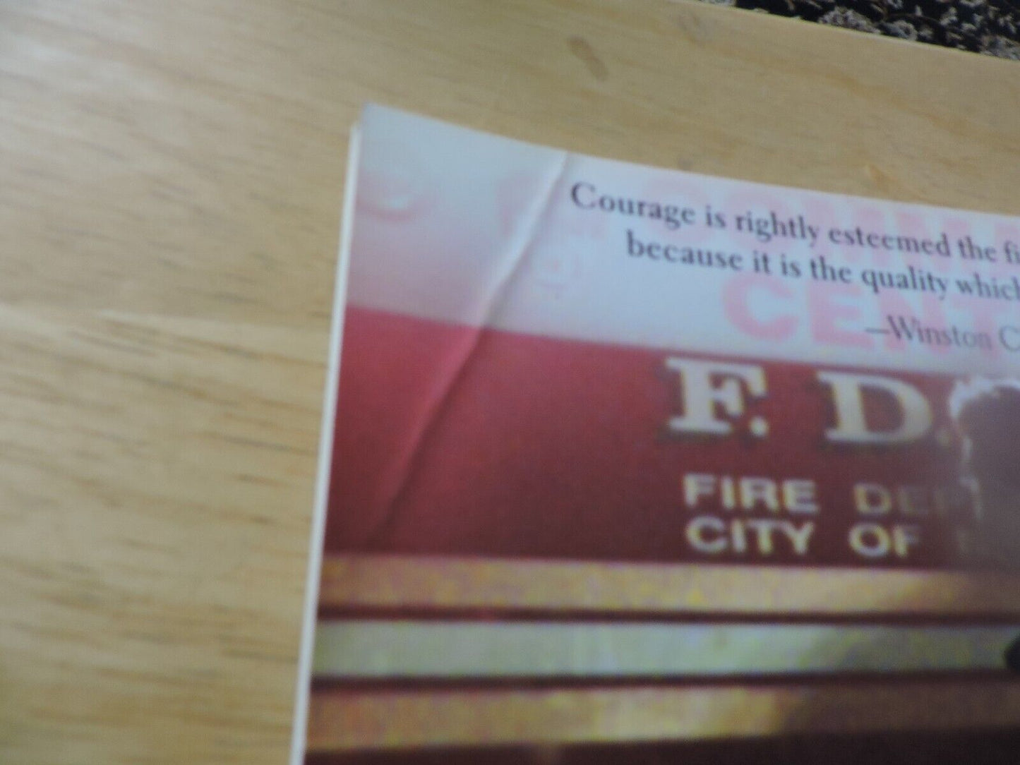 In the Line of Duty: A Tribute to New York's Finest and Bravest by none