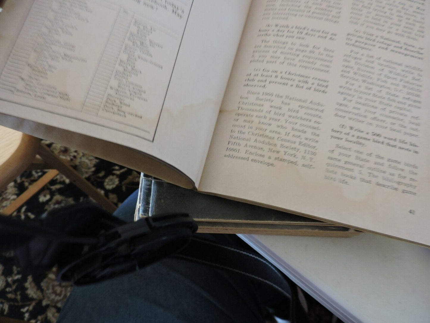 Boy Scouts of America Merit Badge Series Bird Study 1971