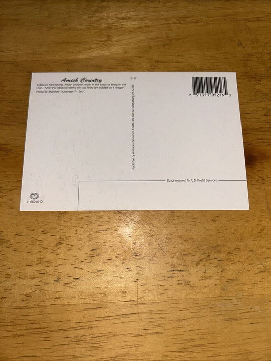 Postcard Unposted: Amish Country Tobacco Harvesting