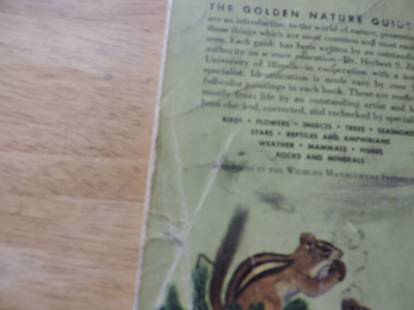 Mammals a Golden Nature Guide by Zim and Hoffmeister 1955