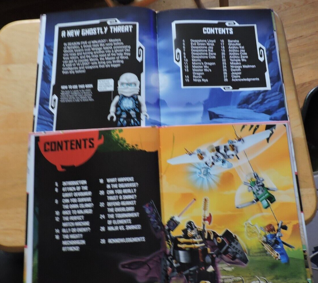 LEGO NINJAGO 2 BOOKS: NINJA BATTLES & NINJA VS. GHOST NINJA