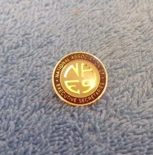 Vintage Nat. Assoc. Of Executive Secretaries Lapel Pin
