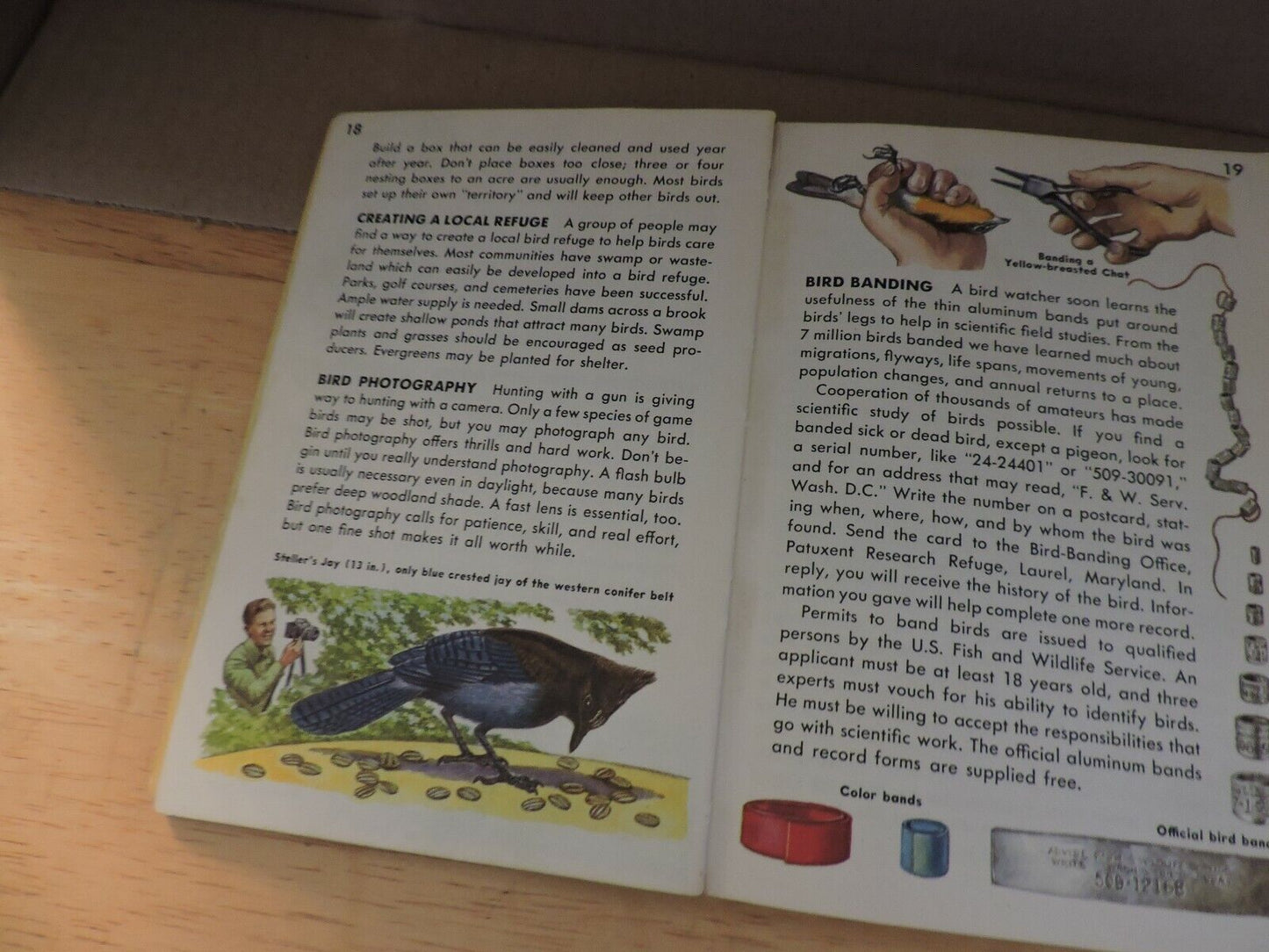 BIRDS  A GUIDE TO THE MOST FAMILIAR AMERICAN BIRDS 1956