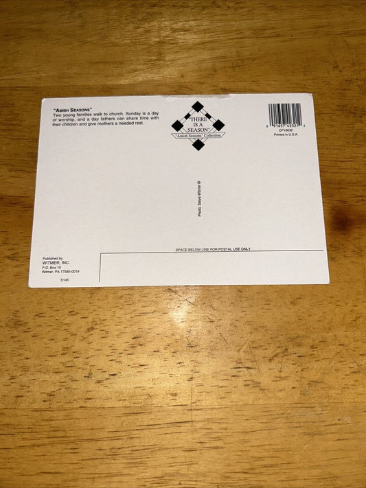 Postcard Unposted: Amish Seasons: GOING TO CHURCH