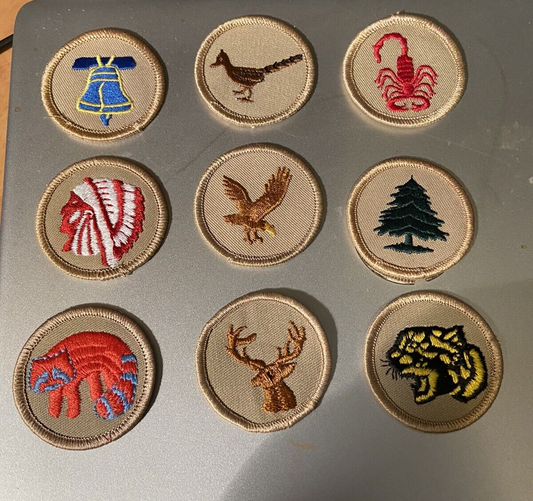 BSA Patches: Lot of 9 Different Patrol Patches