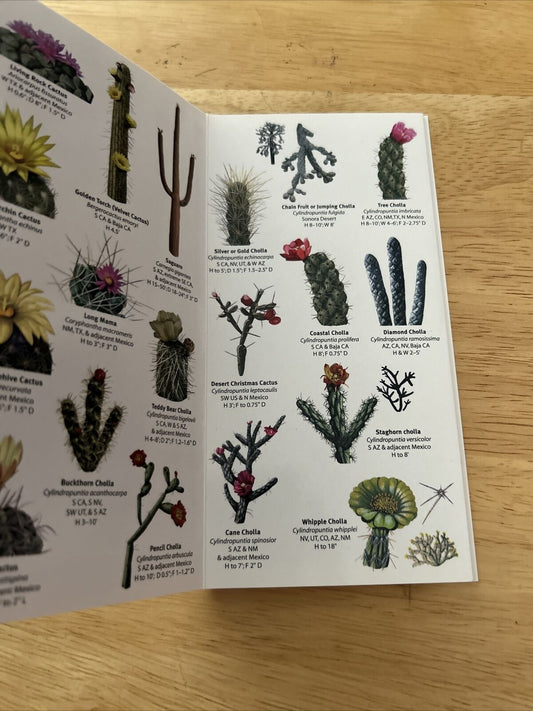 Mac's Pocket Guide Southwest Cacti Trees and Shrubs