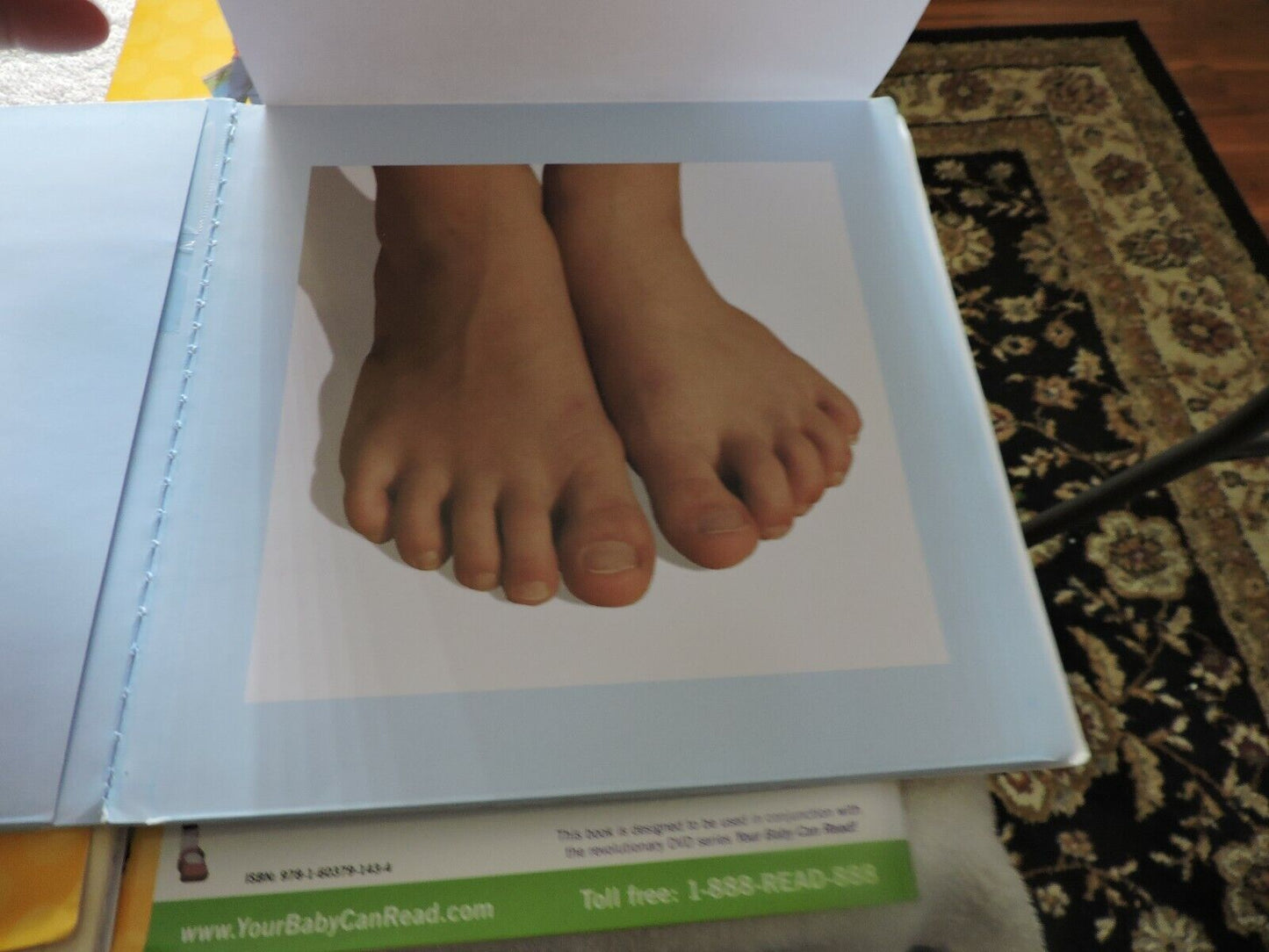 YOUR BABY CAN READ: EARLY LANGUAGE DEVELOPMENT SYSTEM 5 BOOKS