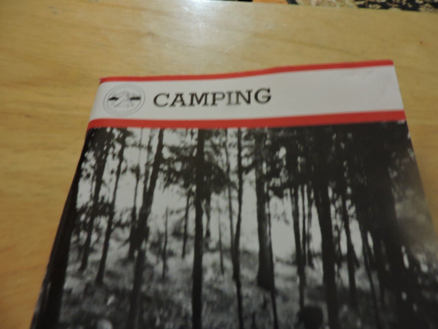 BOY SCOUTS OF AMERICA CAMPING MERIT BADGE BOOK, 1999