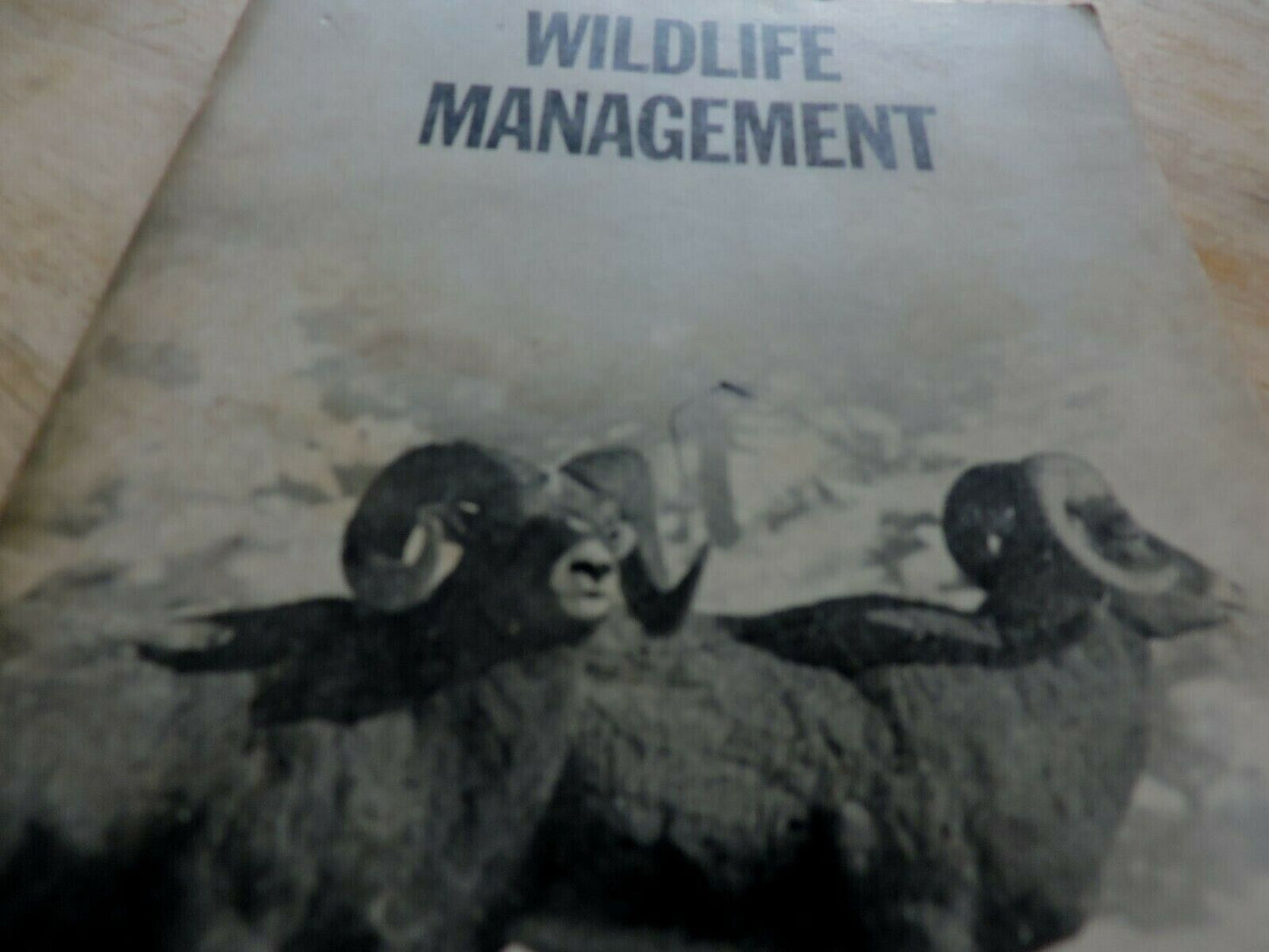 BOY SCOUT MERIT BADGE BOOK: WILDLIFE MANAGEMENT  1952