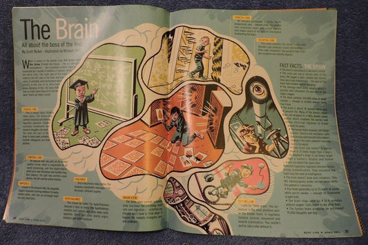 BSA-Boy's Life April 2014 Issue Featuring Fly Fishing