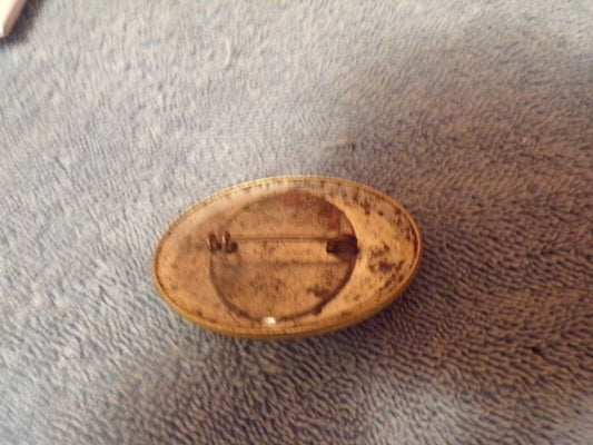 Political Pin: Democratic Convention Voting Delegate 1970