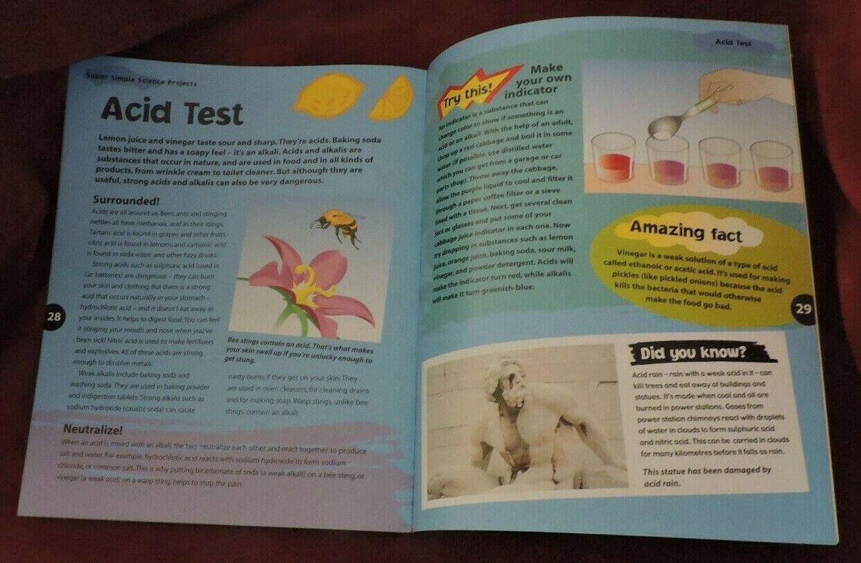 Mad About Science: Super Simple Science Projects