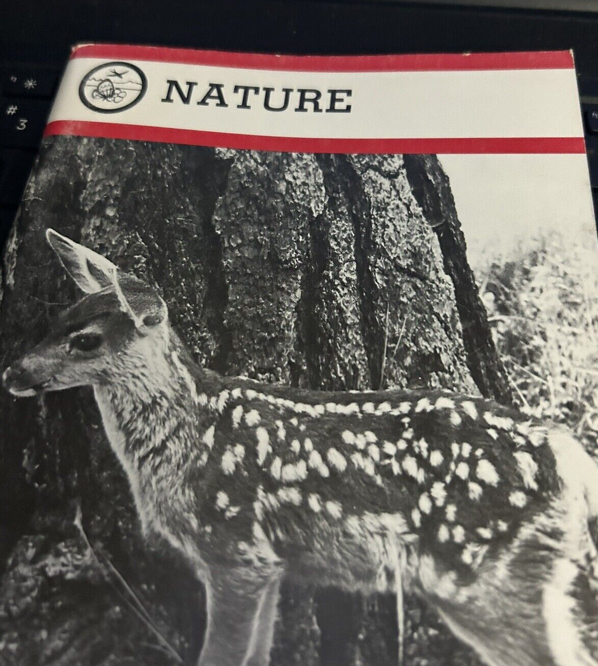 BOY SCOUTS OF AMERICA NATURE MERIT BADGE BOOK  1993