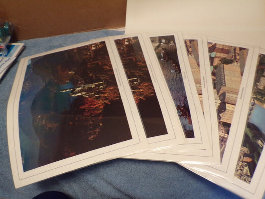 A Collection of International Dinner Mats