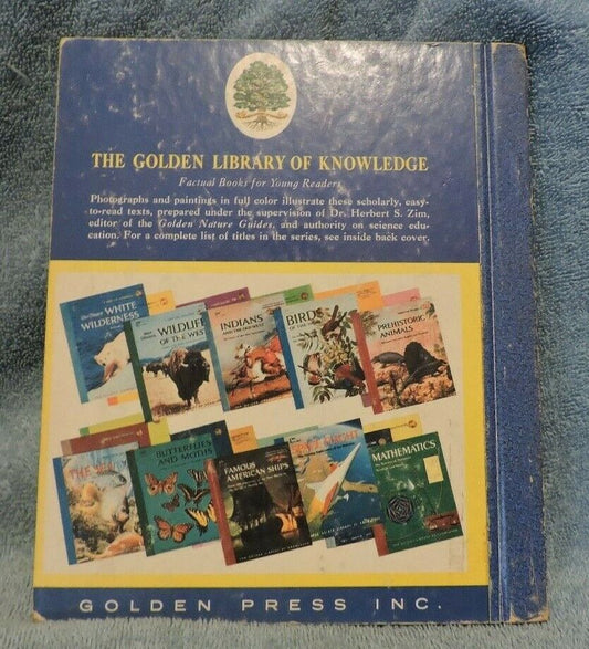 The World of Ants Childrens Book