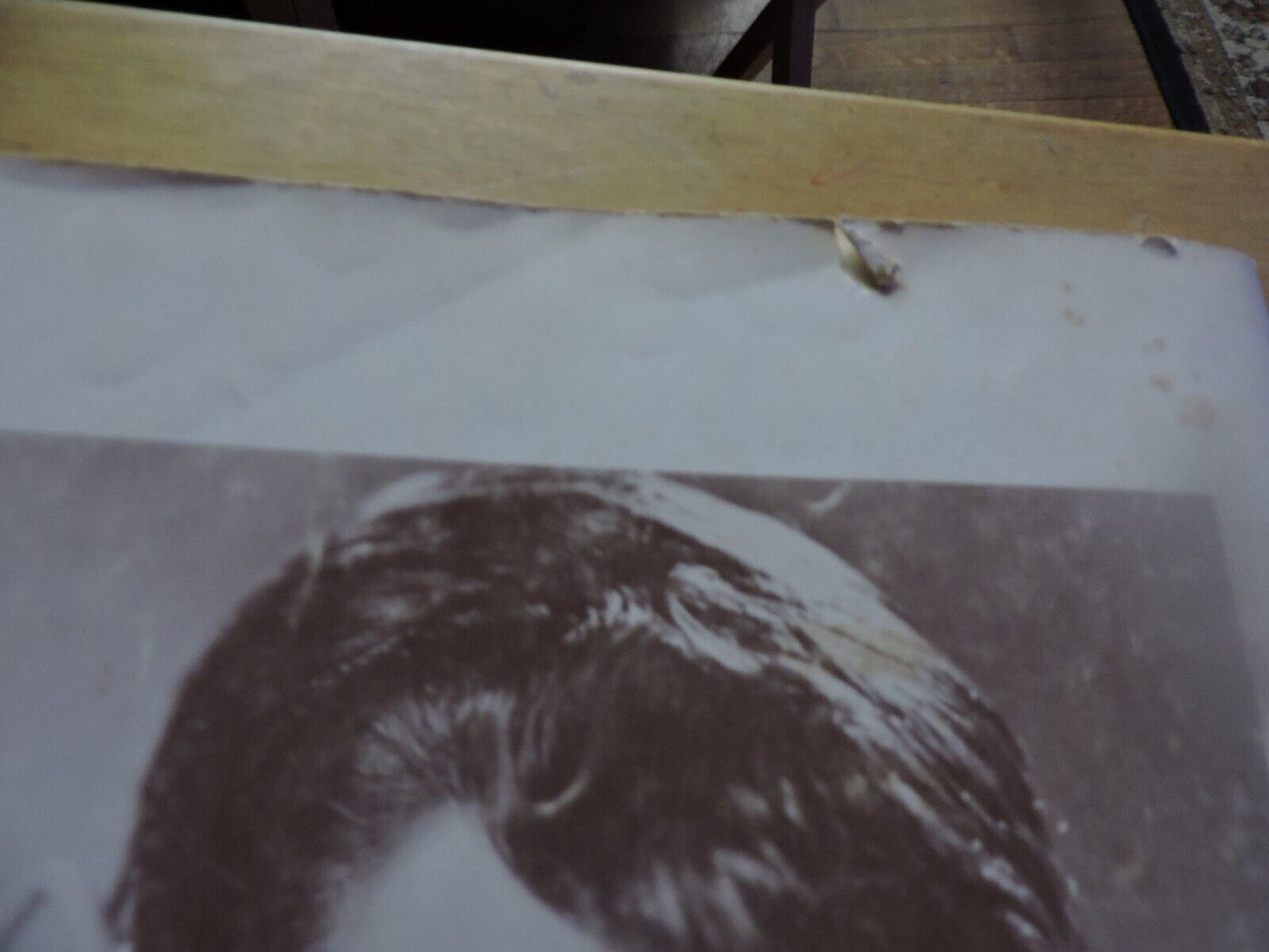 THE PAUL EVANS SONG ALBUM (SONG BOOK)