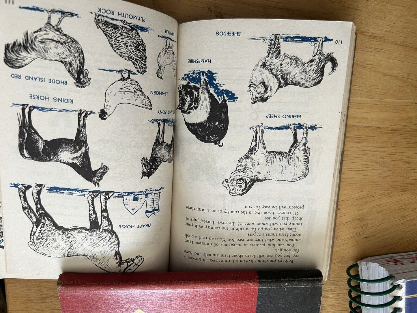BEAR CUB SCOUT BOOK 1954 (previously owned and used)