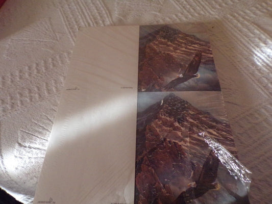 Note Cards: Thank you, Congratulations, Etc Paper stock with Soaring Eagle