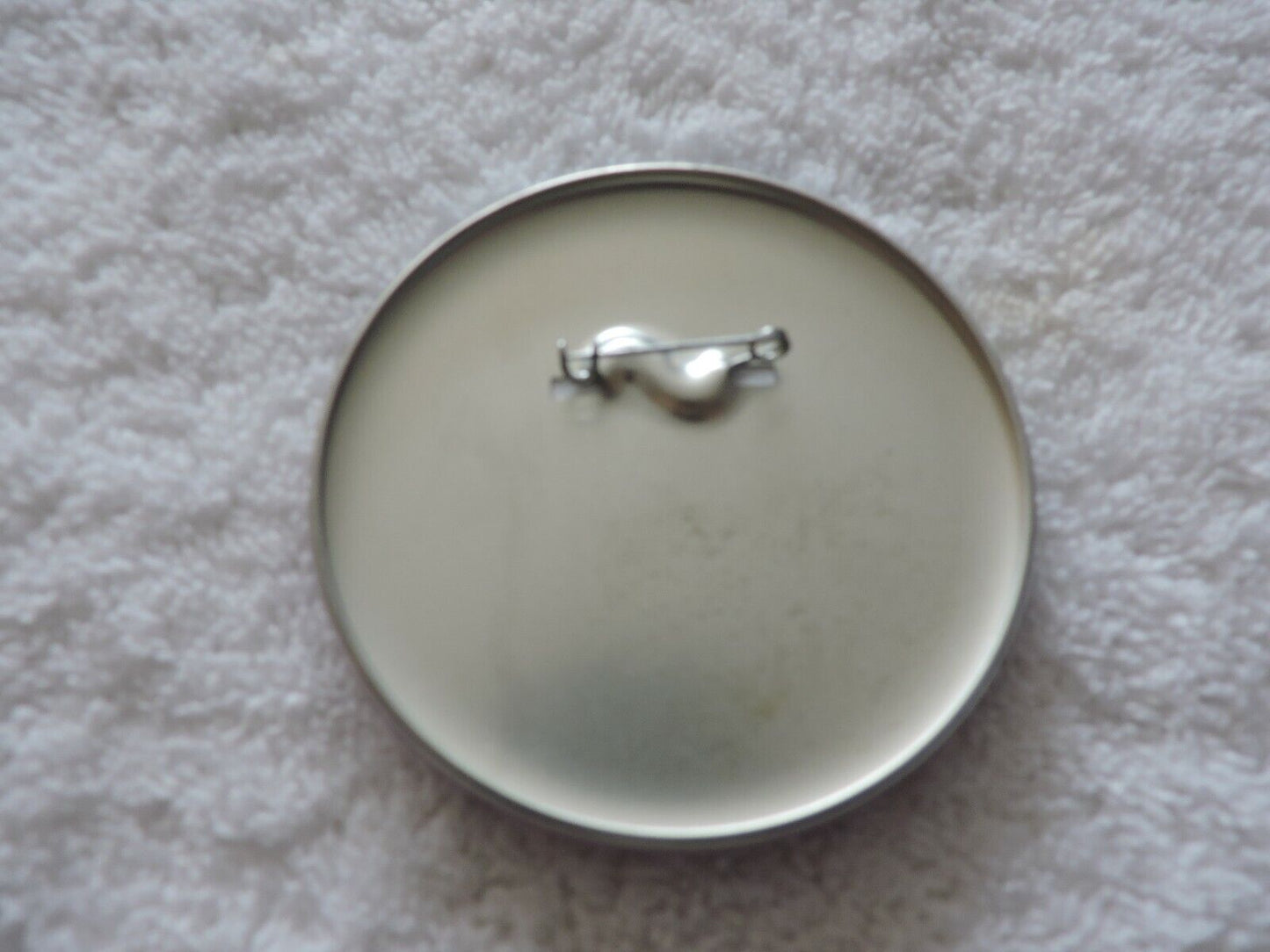 HAPPILY EVER AFTER: WALT DISNEY WORLD 3" PIN