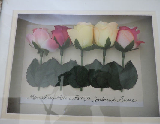 Framed Botanical Artwork by Holly Meade-Garden Motif