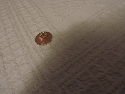 Tastes + Tunes Festival Lapel Pin