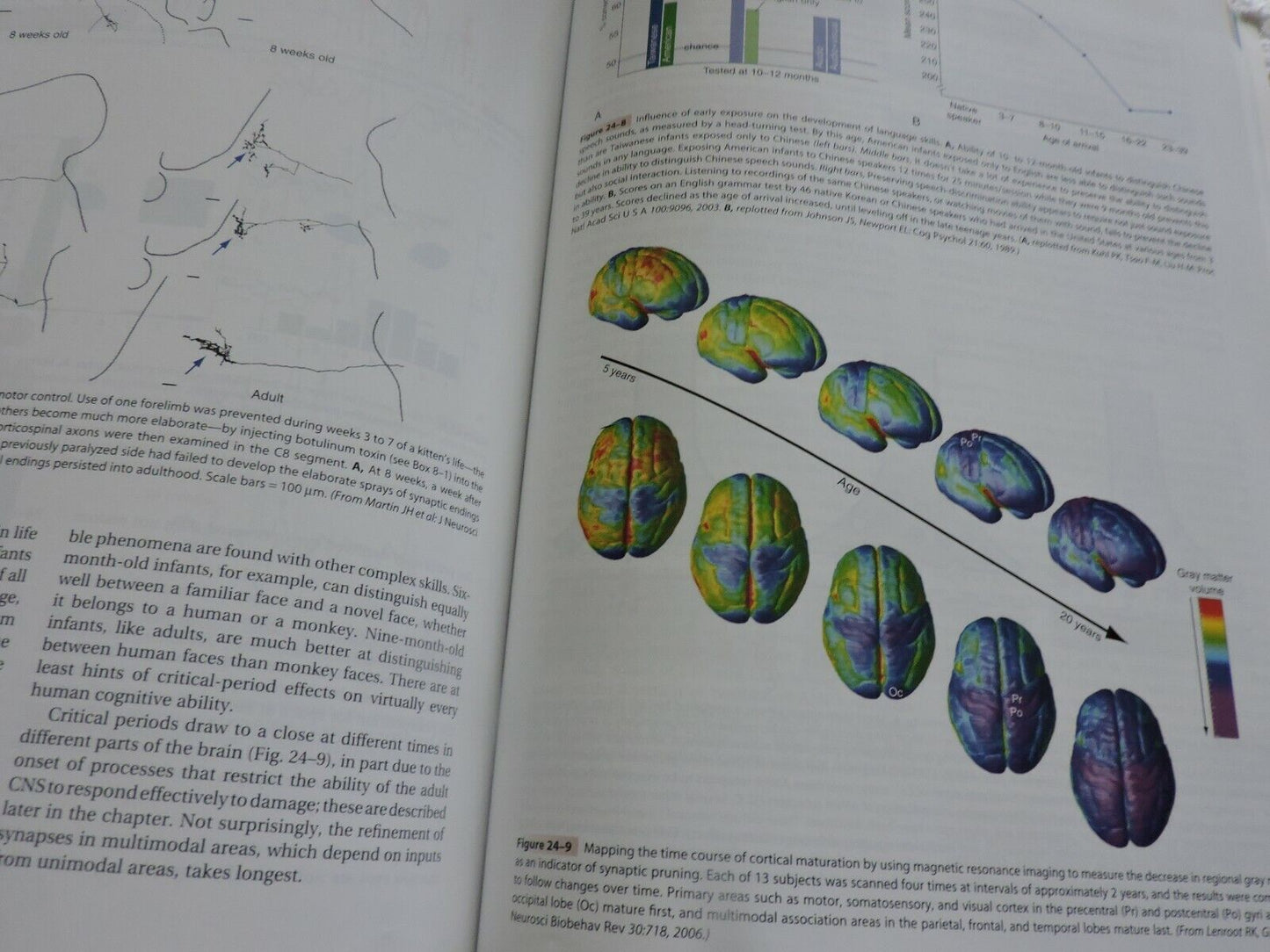 THE HUMAN BRAIN AN INTRODUCTION TO ITS FUNCTIONAL ANATOMY 2009 JOHN NOLTE