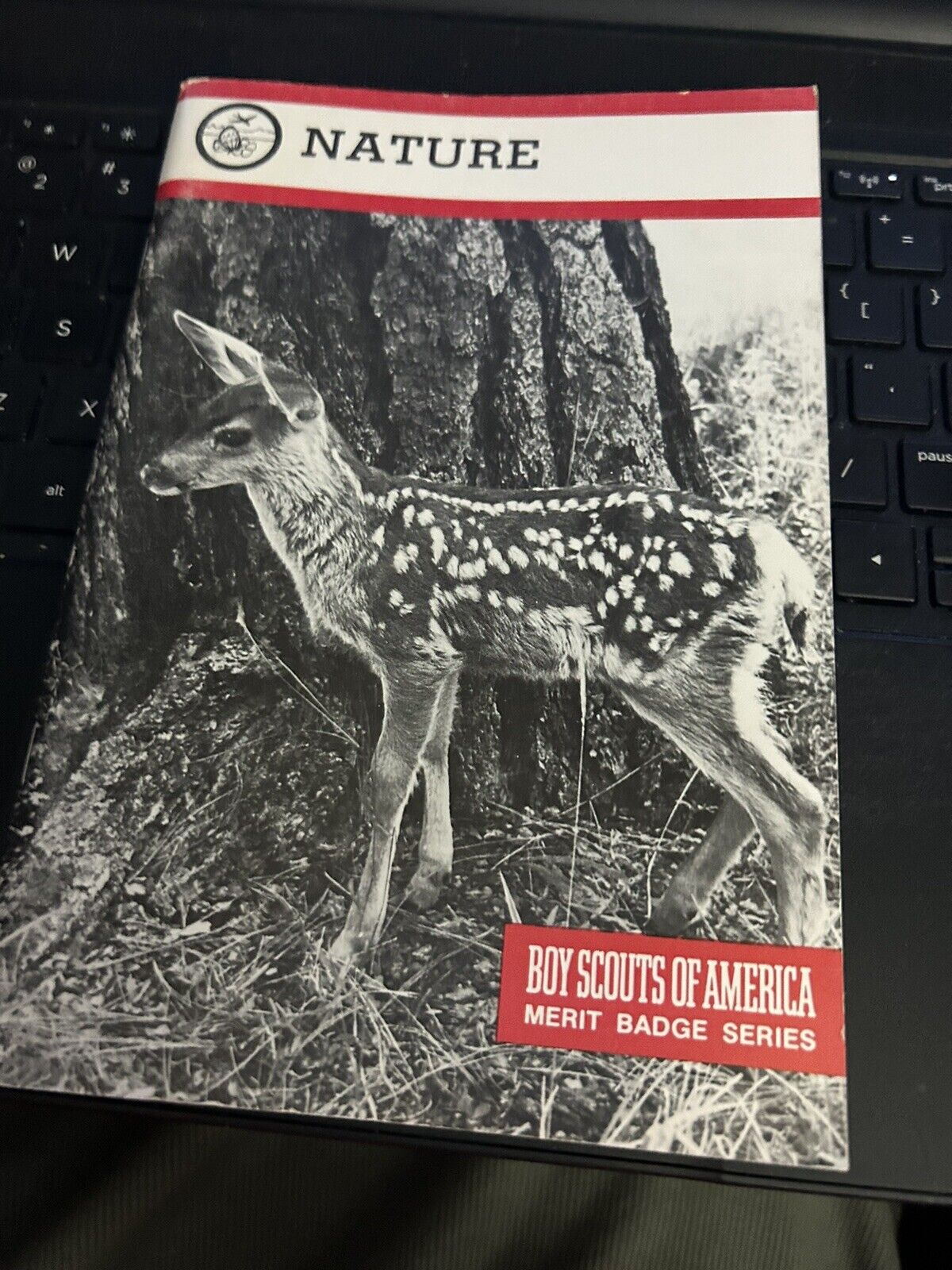 BOY SCOUTS OF AMERICA NATURE MERIT BADGE BOOK  1993