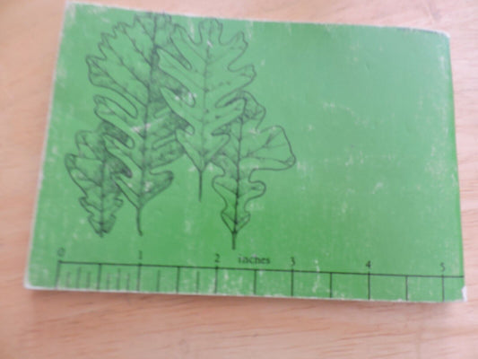 MASTER TREE FINDER: A MANUAL FOR THE IDENTIFICATION OF TREES BY THEIR LEAVES 196