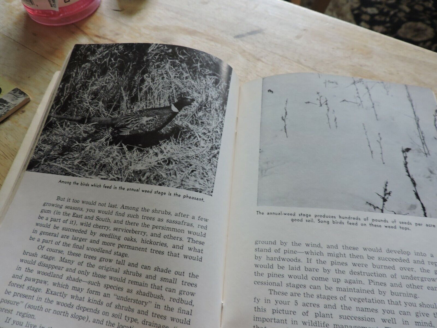 BOY SCOUT MERIT BADGE BOOK: WILDLIFE MANAGEMENT  1952