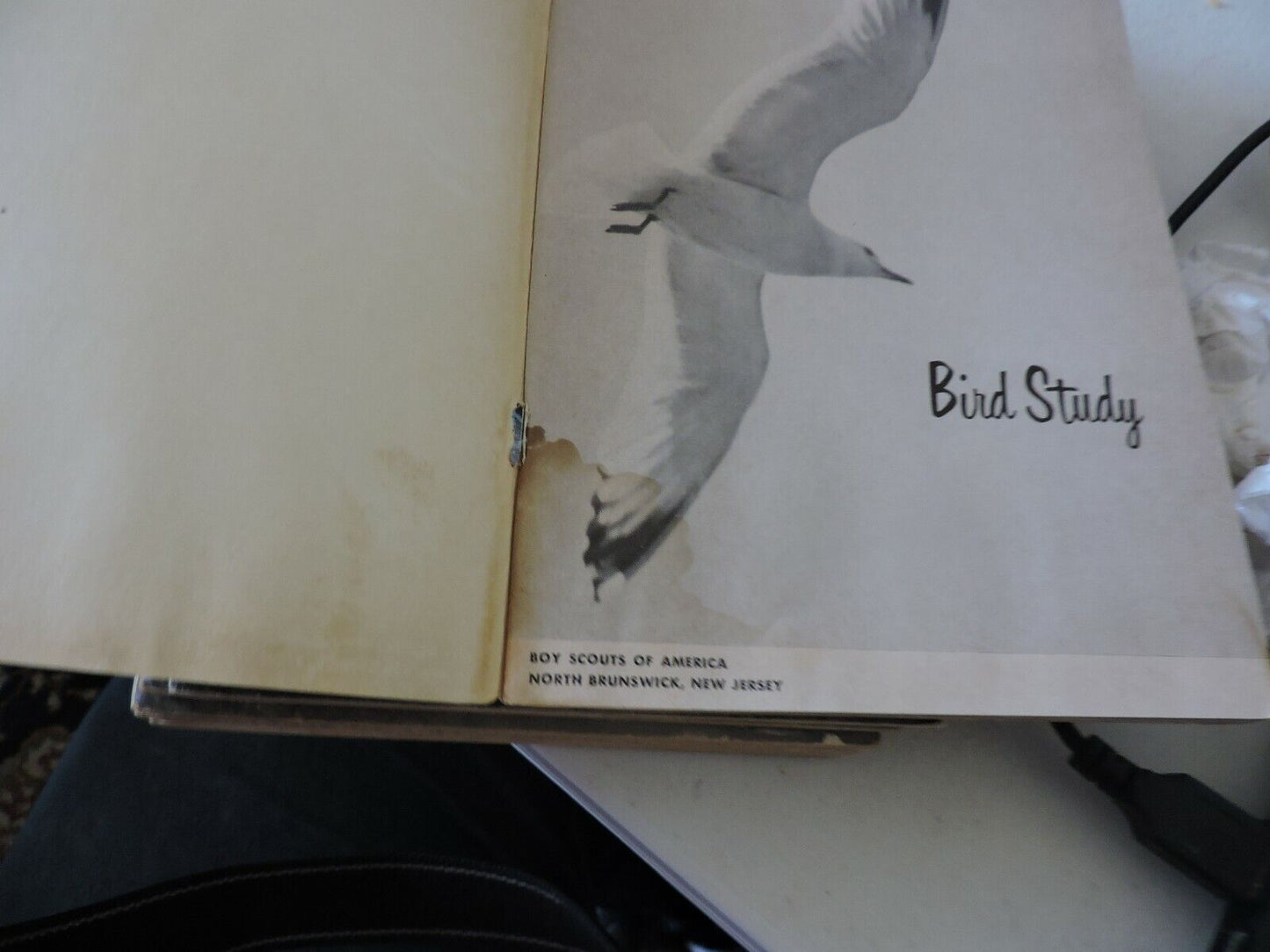 Boy Scouts of America Merit Badge Series Bird Study 1971