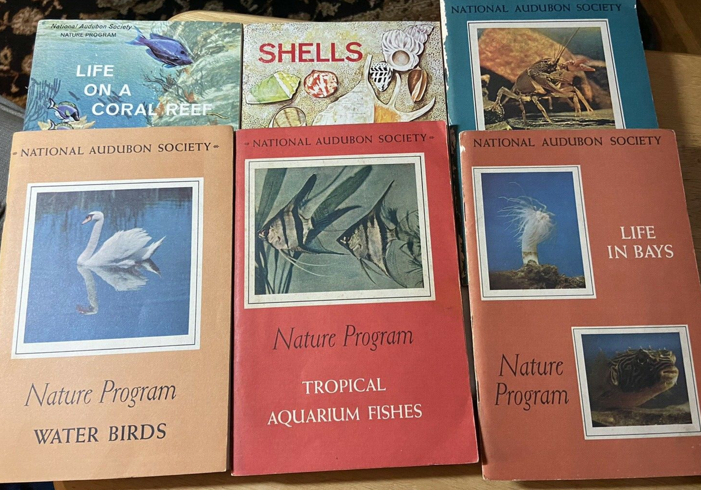 National Audubon Society Nature Program Booklets (Fish/Coral/Birds) 1964/1966