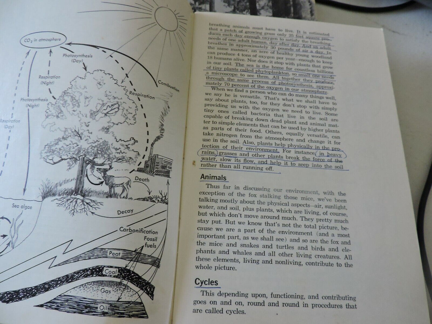 Boy Scouts of America Merit Badge Series Enviromental Science 1973