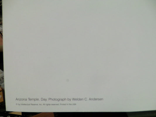 Church of Jesus Christ, LDS, Arizona Temple Print, 16