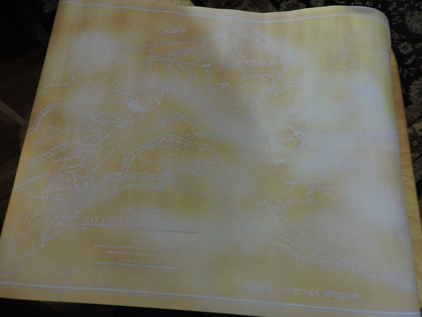 MAP OF THE ALASKAN GOLD FIELDS OF 1897-SOUVENIR OF ALSKA