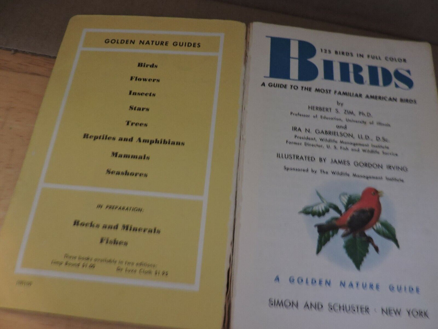 BIRDS  A GUIDE TO THE MOST FAMILIAR AMERICAN BIRDS 1956