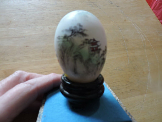 PAINTED EGG IN GLASS CASE