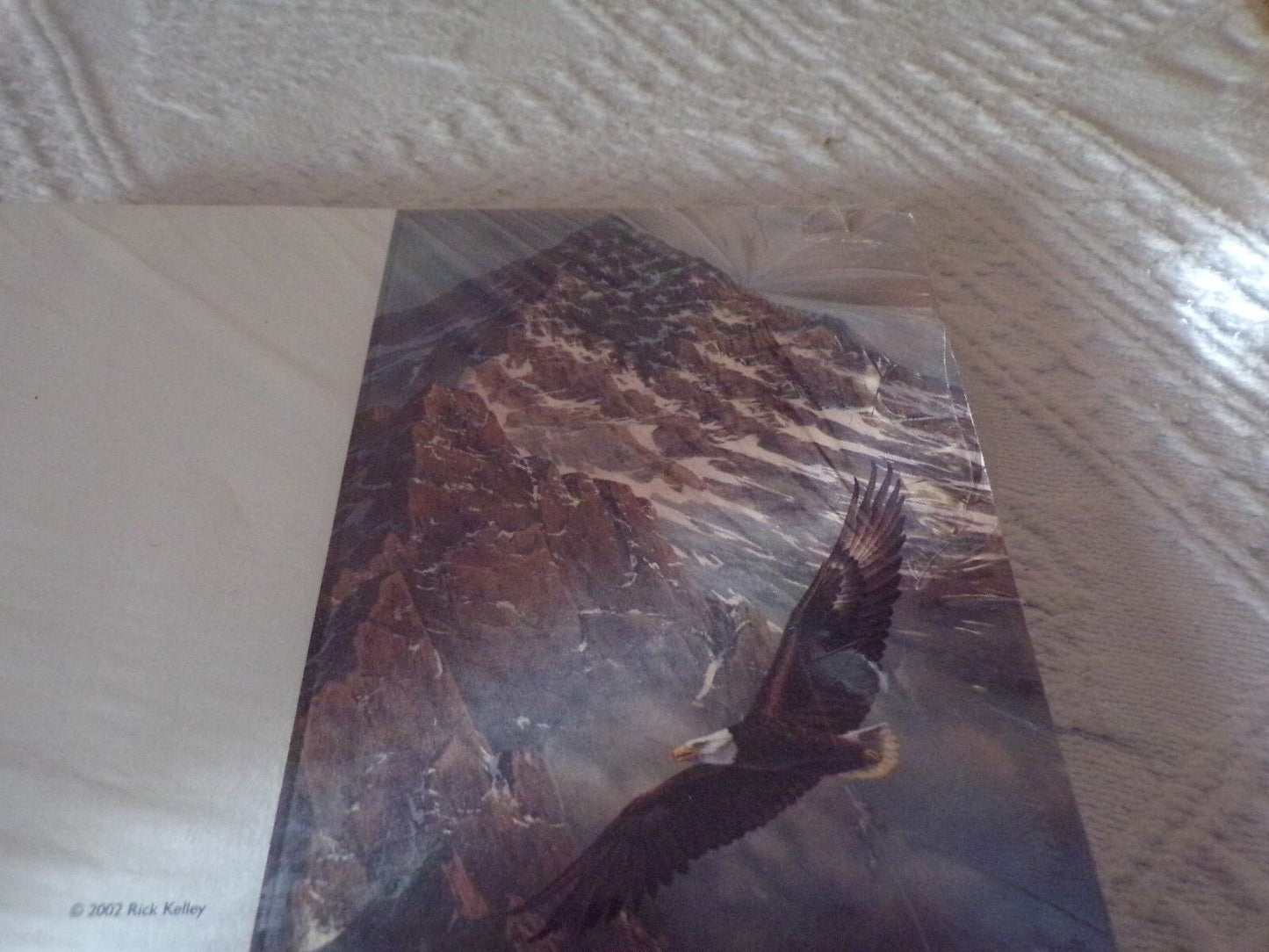 Note Cards: Thank you, Congratulations, Etc Paper stock with Soaring Eagle