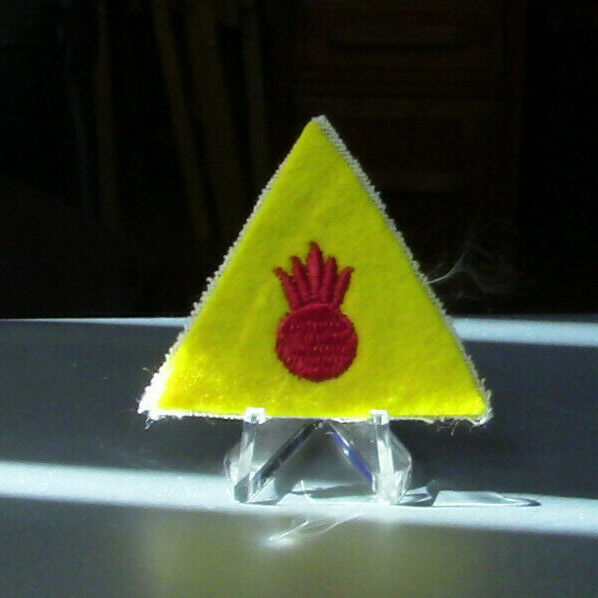 U.S. Army Unit Patch: Yellow Pineapple