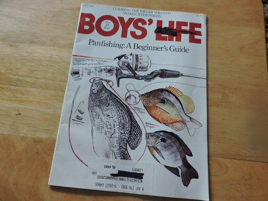 BOYS' LIFE MAGAZINE-JUNE 1988-PANFISHING:  A BEGINNER'S GUIDE