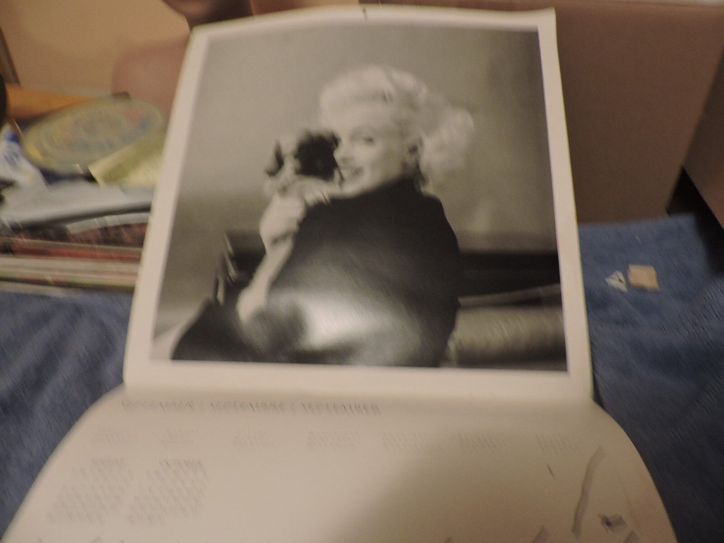 For The Love of Marilyn (2001 Calendar)