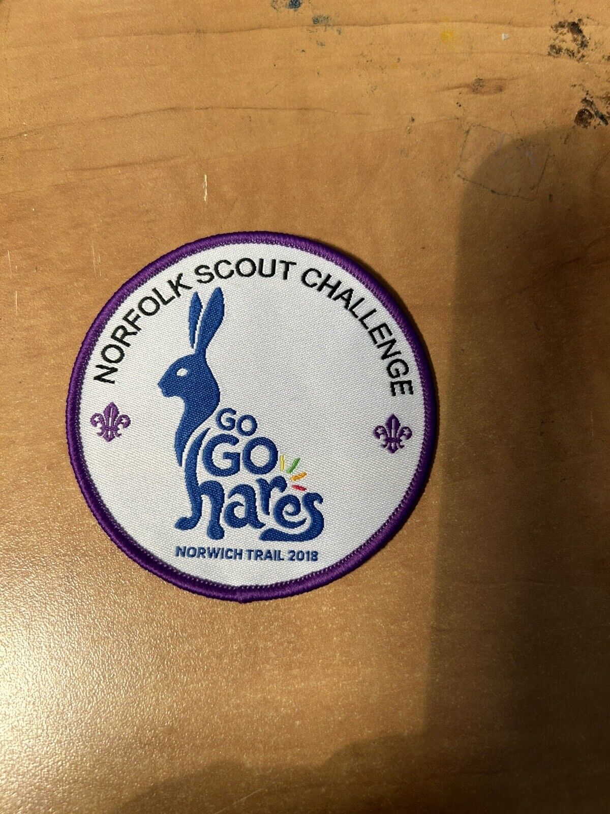 World Scouting Patch: Norfolk Scout Challenge-Go Go Hares-Norwich Trail 2018