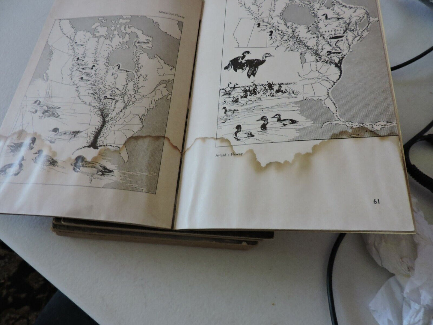 Boy Scouts of America Merit Badge Series Bird Study 1971