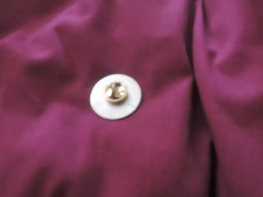 St Louis Senior High School 30 Year Lapel Pin