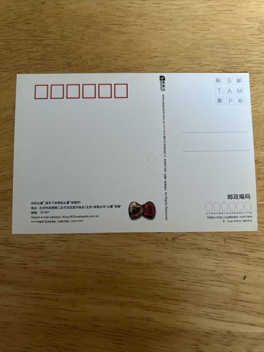 Chinese Dove Chocolate Advertisement Postcard