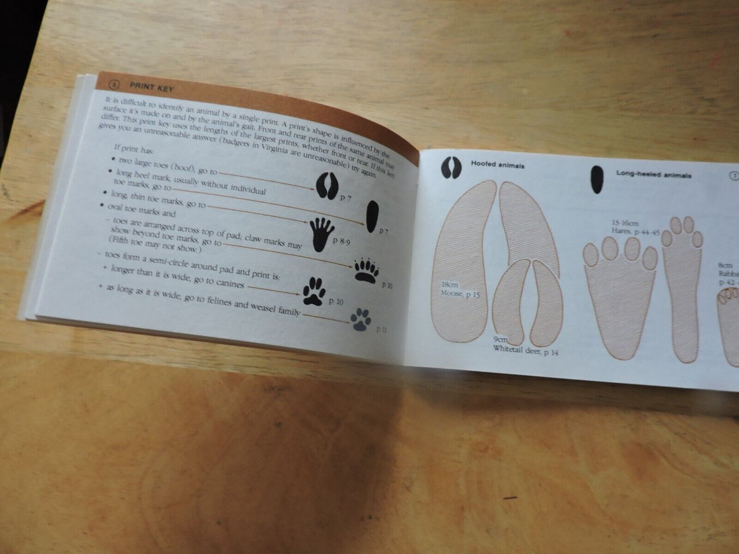 Track Finder : A Guide to Mammal Tracks of Eastern North America by Dorcas S....