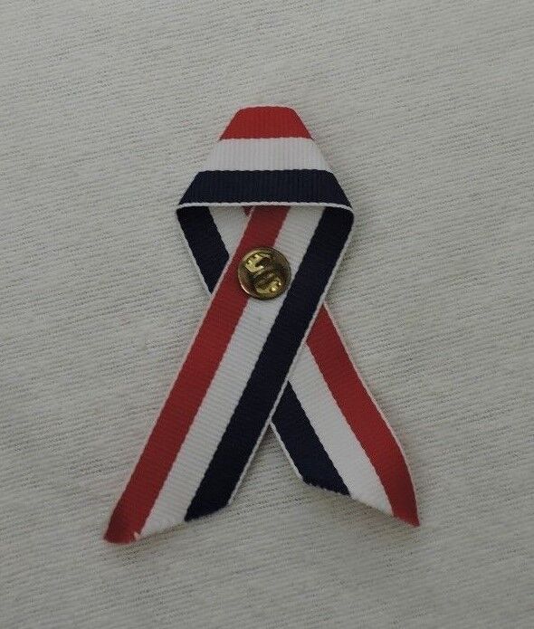 Team USA Olympics Pin with Red/White/Blue Ribbon