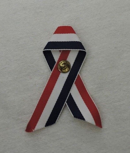 Team USA Olympics Pin with Red/White/Blue Ribbon
