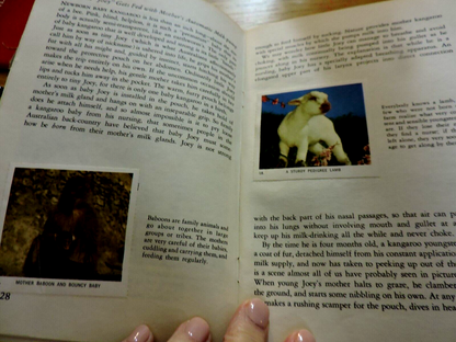 NATIONAL AUDUBON SOCIETY: NATURE PROGRAM, ANIMAL CHIDREN 1958
