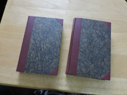 DIE BRUDER KARAMAFOW VOLUME 1 & 2 BY F. M. DOLTOJEWLFI