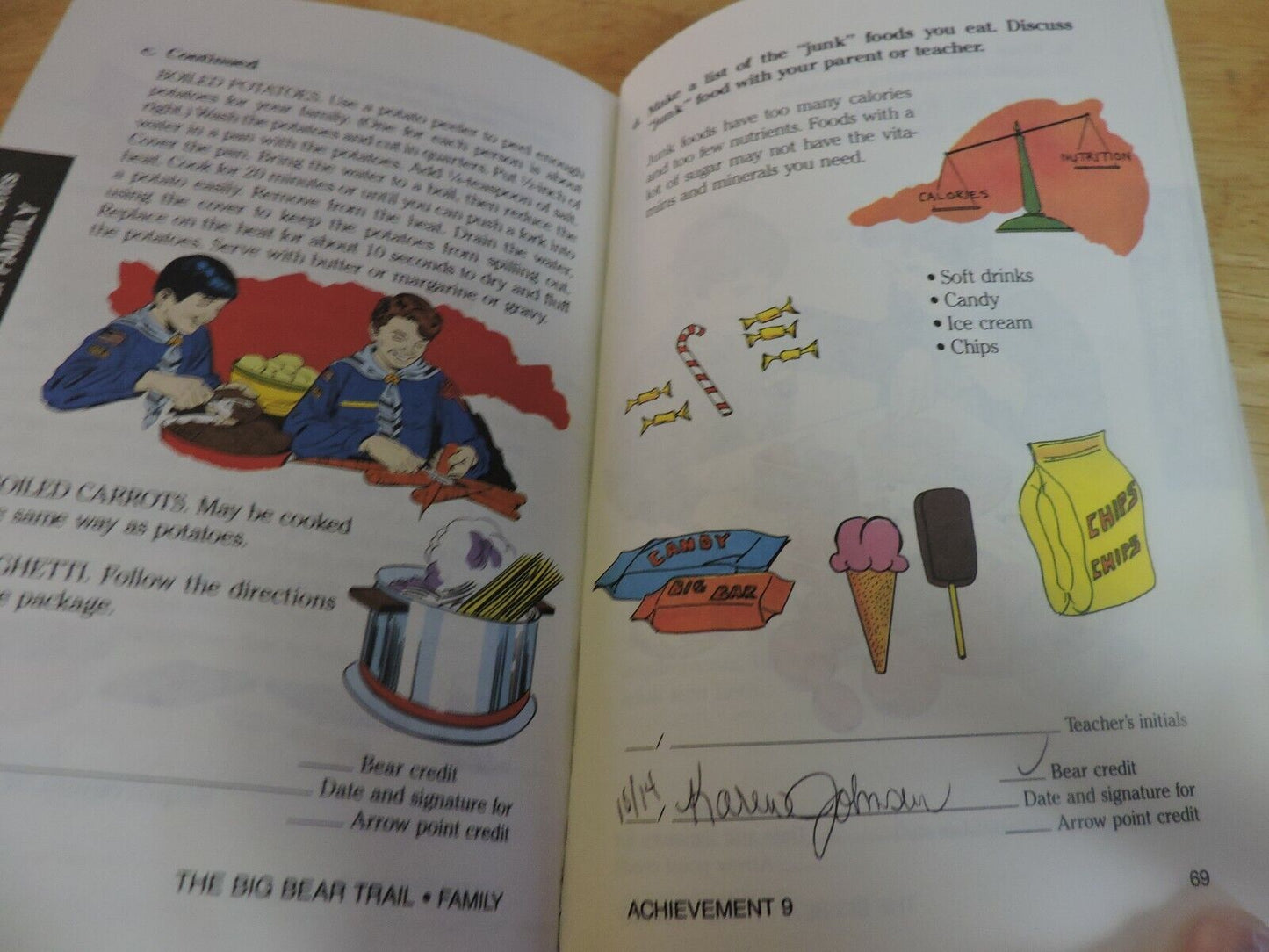THE BIG BEAR CUB SCOUT HANDBOOK 1990 PRINTING